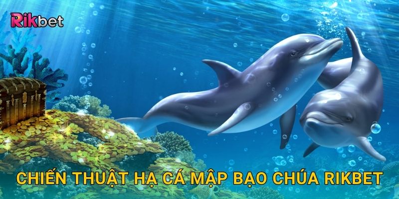 Cá mập bạo chúa – Thử thách săn quái vật biển khổng lồ tại Rikbet 3 Chiến thuật hạ cá mập bạo chúa Rikbet